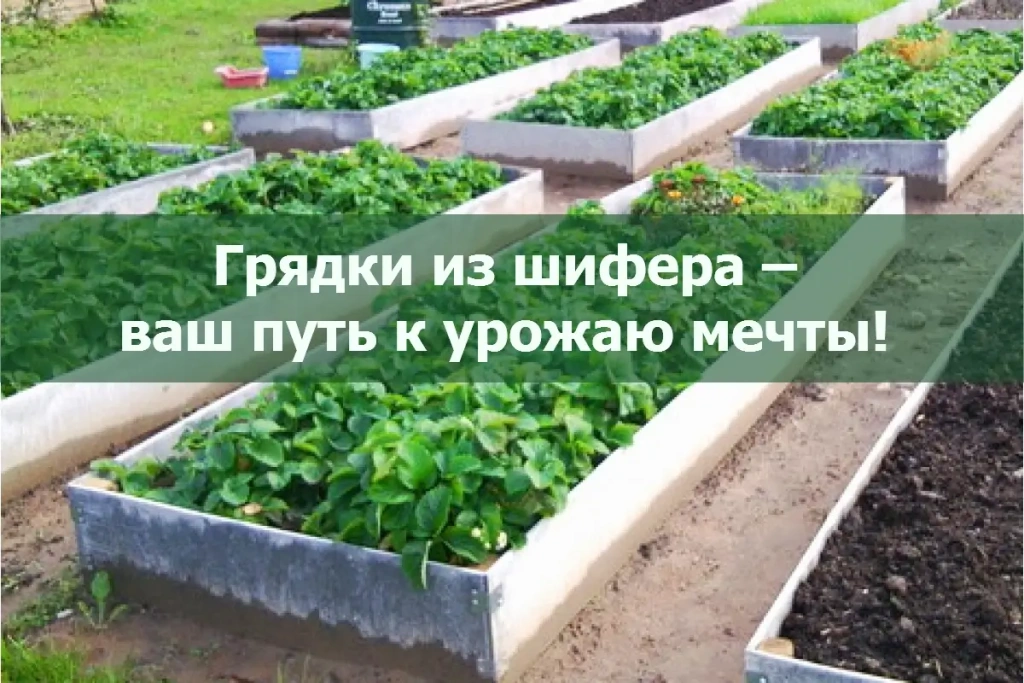 Грядки из шифера - надежное решение для вашего сада Грядки из шифера - надежное решение для вашего сада